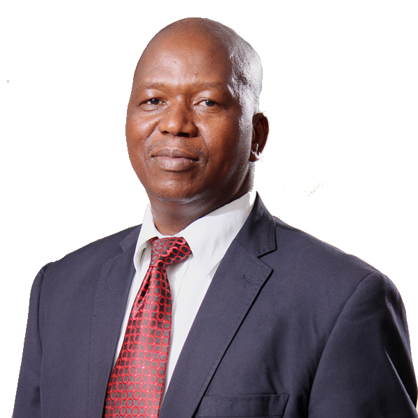 Mr Mduduzi Gina